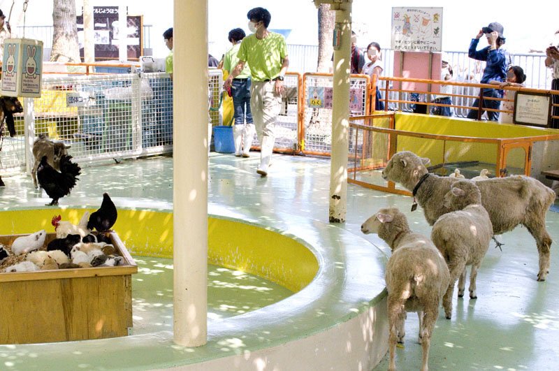 🌳 에도가와구 자연 동물원(에도가와쿠 시젠 도부츠엔) 이미지 2